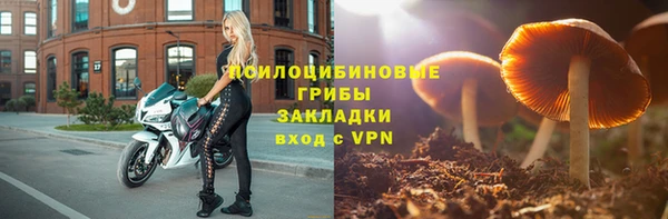 герыч Горнозаводск