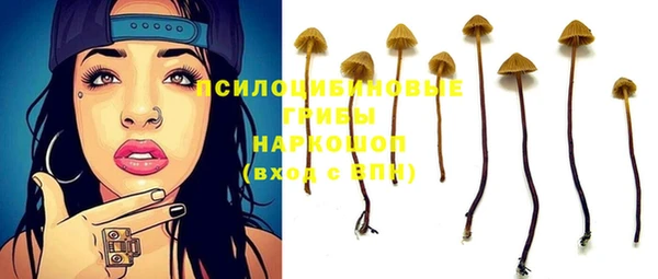 эйфоретик Горно-Алтайск